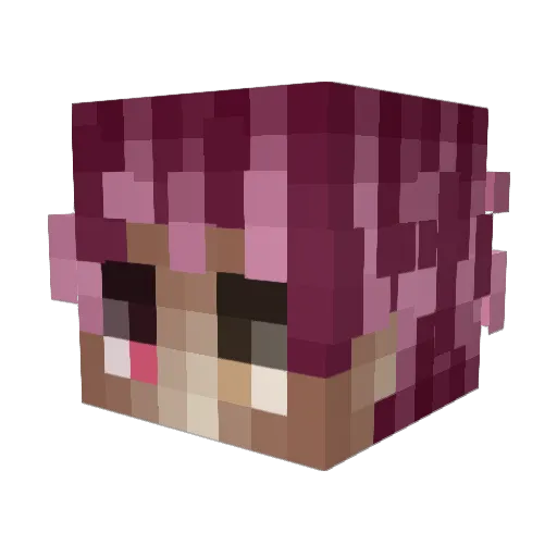 Nanofull Minecraft avatar head, 3D render