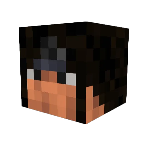 Nanoosher Minecraft avatar head, 3D render