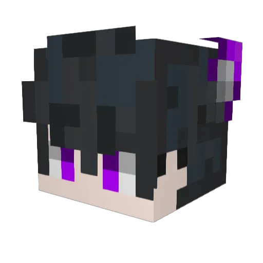 Nanophyr Minecraft avatar head, 3D render