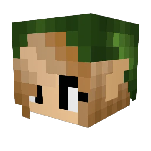 Nanopound Minecraft avatar head, 3D render
