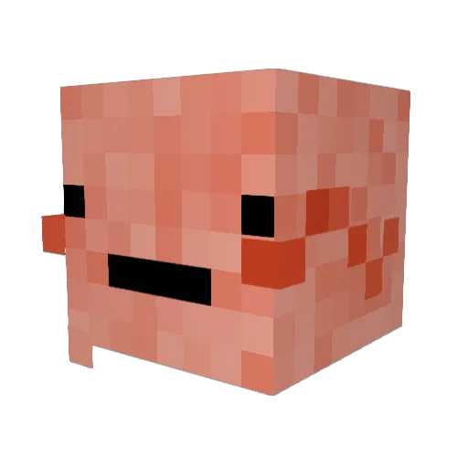 Nanor31 Minecraft avatar head, 3D render