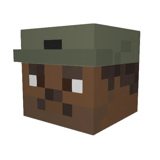 Nanorator1 Minecraft avatar head, 3D render