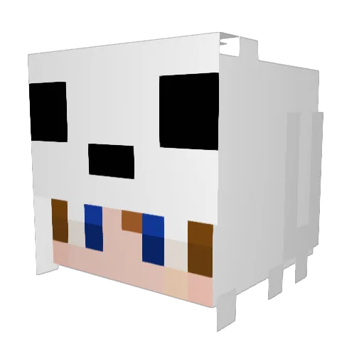 Nanotubes Minecraft avatar head, 3D render
