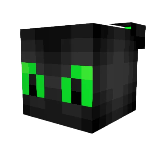 Nanow2000 Minecraft avatar head, 3D render