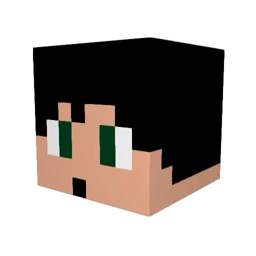 Nanox_ Minecraft avatar head, 3D render