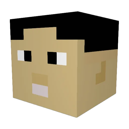 NansOnWheels Minecraft avatar head, 3D render