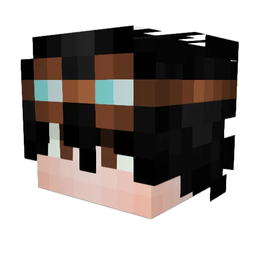 Nanshou09 Minecraft avatar head, 3D render