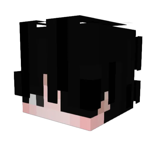 NantaNe Minecraft avatar head, 3D render