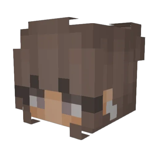Nanukx Minecraft avatar head, 3D render