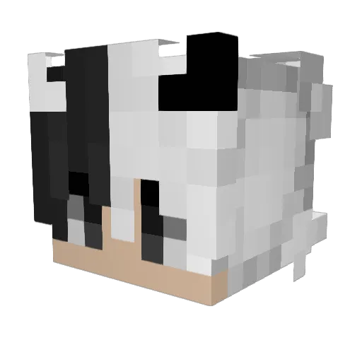 Nanxkusa Minecraft avatar head, 3D render