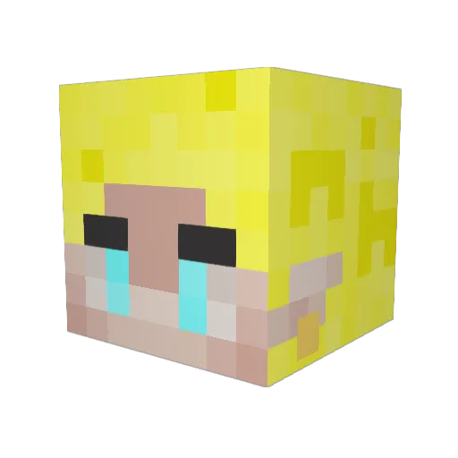Nanyald Minecraft avatar head, 3D render