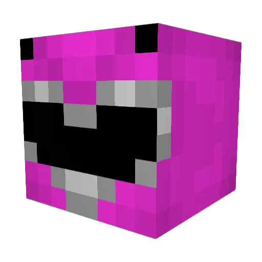 NaoSeiPorQue_ Minecraft avatar head, 3D render