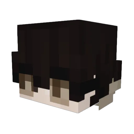 Naogui Minecraft avatar head, 3D render