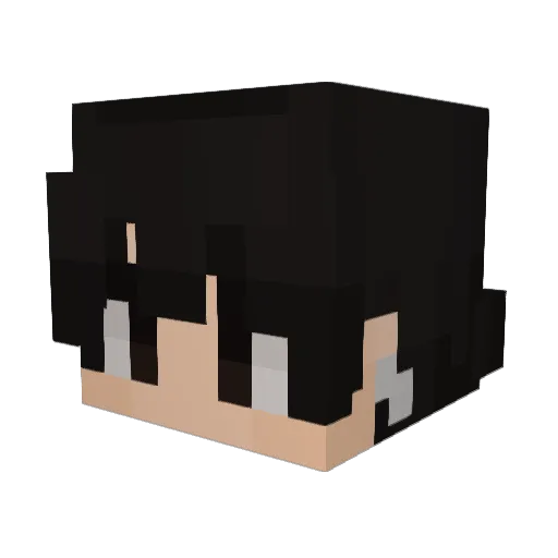 Naoh_Jr_Point Minecraft avatar head, 3D render