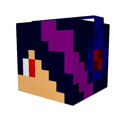 Naoki_Panda Minecraft avatar head, 3D render