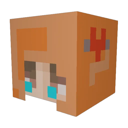 NaomiB2002 Minecraft avatar head, 3D render