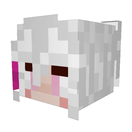 NaomiS2 Minecraft avatar head, 3D render