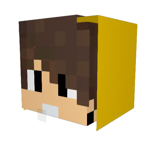 NaomiTheEmo Minecraft avatar head, 3D render