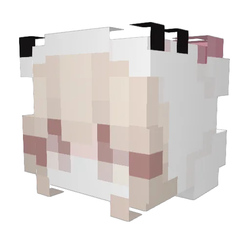 Naominotes Minecraft avatar head, 3D render