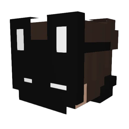 Naoseibt Minecraft avatar head, 3D render