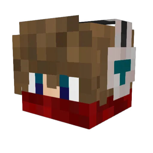 Naoss_ Minecraft avatar head, 3D render