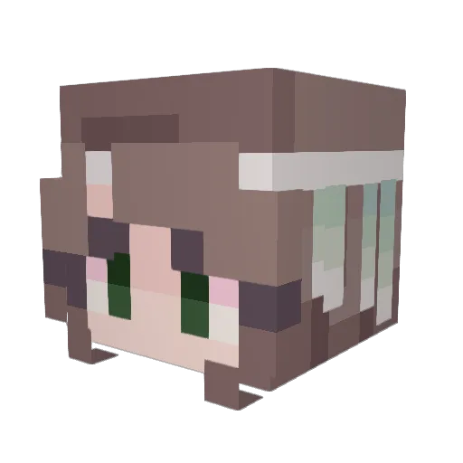 Naowood1 Minecraft avatar head, 3D render
