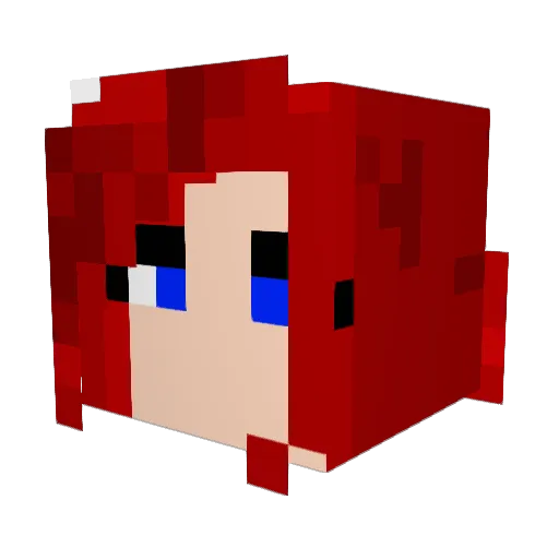 NapNinja Minecraft avatar head, 3D render
