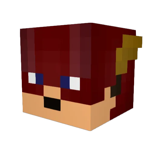 NapaMan Minecraft avatar head, 3D render