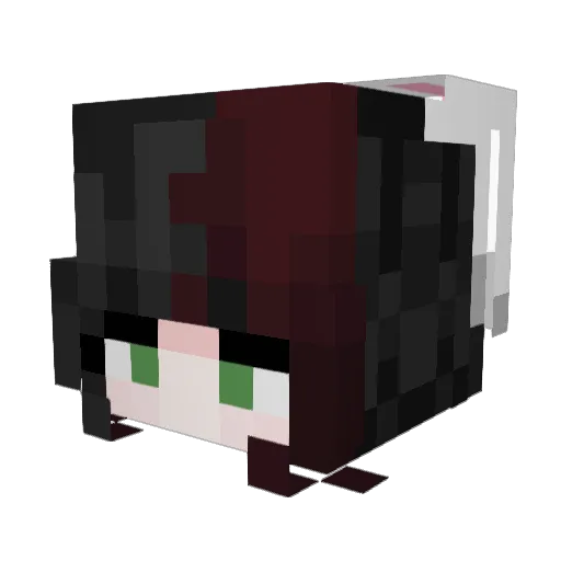 Napai21 Minecraft avatar head, 3D render