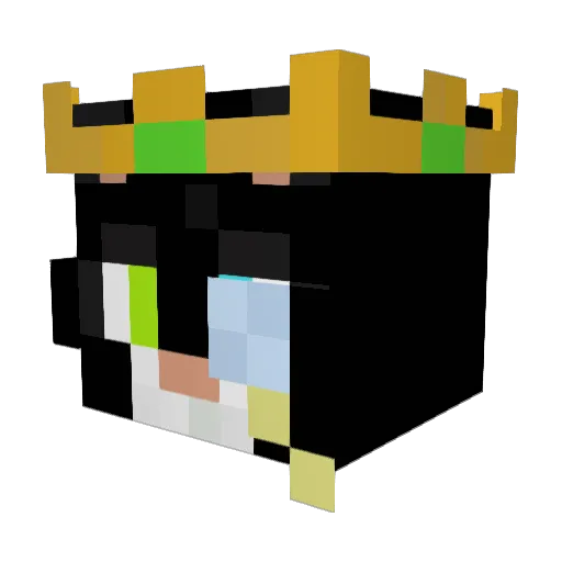 Napalm1432 Minecraft avatar head, 3D render
