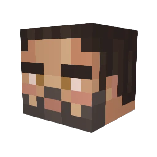 NapalmIsNice501 Minecraft avatar head, 3D render