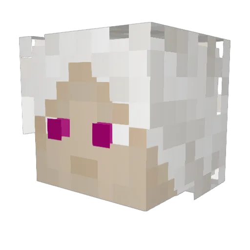 Napalmterror Minecraft avatar head, 3D render