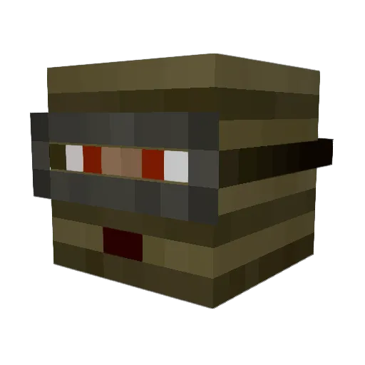 Napander1 Minecraft avatar head, 3D render