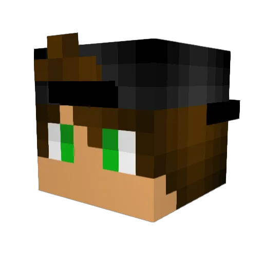 Nape_Tondo11 Minecraft avatar head, 3D render