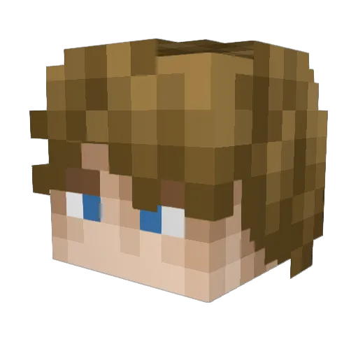 Napen751 Minecraft avatar head, 3D render