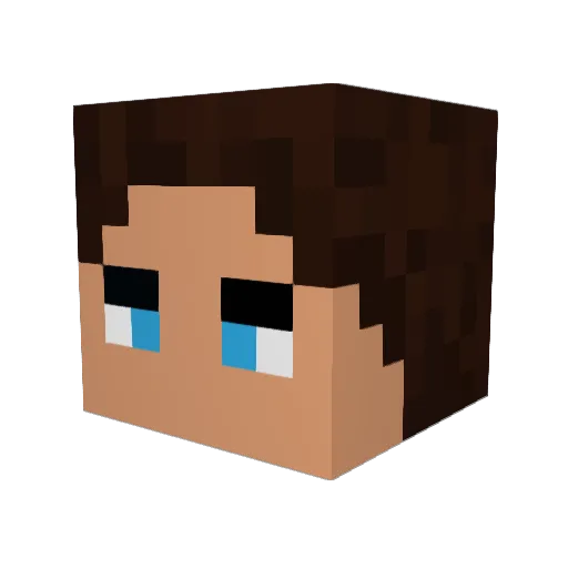 Napesz Minecraft avatar head, 3D render