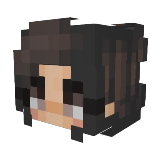 Napewo Minecraft avatar head, 3D render