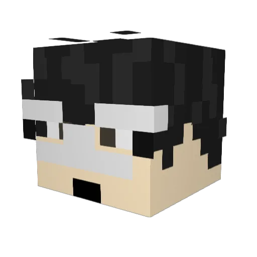 NapiSolo Minecraft avatar head, 3D render