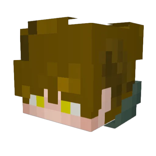 Napi_Kun Minecraft avatar head, 3D render