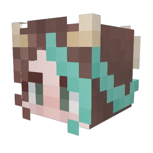 Napier_Bee Minecraft avatar head, 3D render