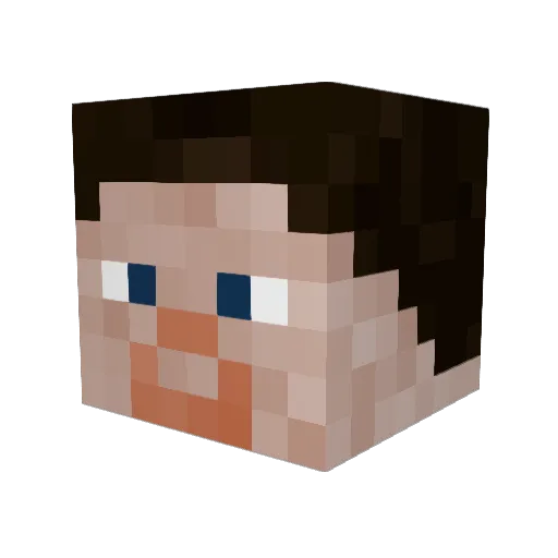 Napister69 Minecraft avatar head, 3D render
