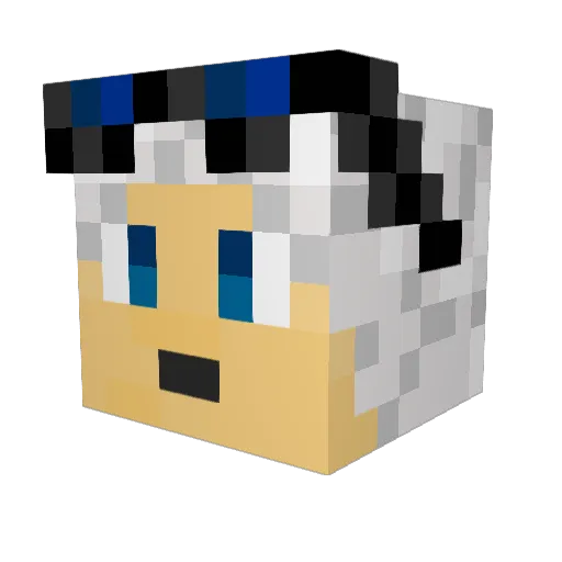 Napkiing11 Minecraft avatar head, 3D render