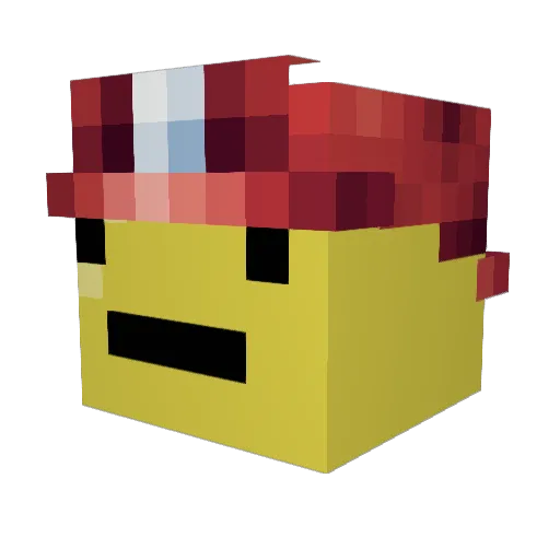 NapkinWipes101 Minecraft avatar head, 3D render