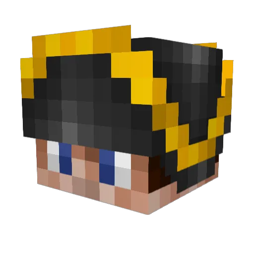 Napododidelyone Minecraft avatar head, 3D render