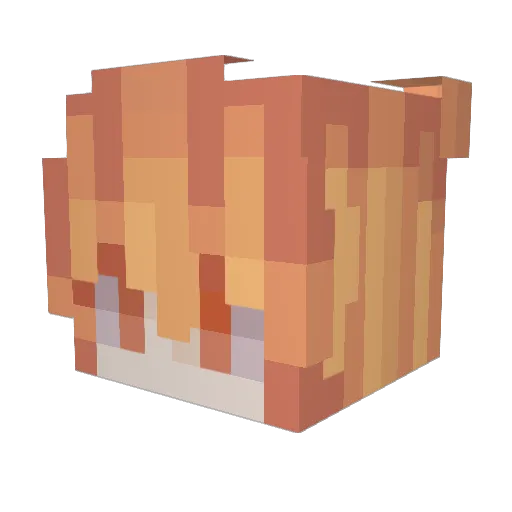 Napofasquirrel Minecraft avatar head, 3D render