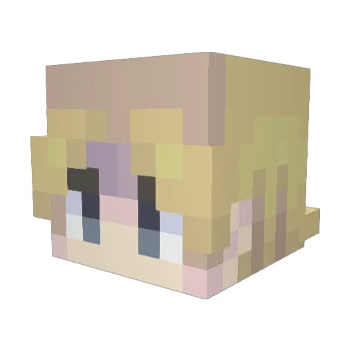 NapoleontasZ Minecraft avatar head, 3D render
