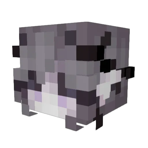Napookyy Minecraft avatar head, 3D render