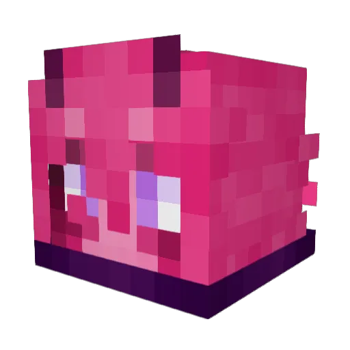NappVT Minecraft avatar head, 3D render
