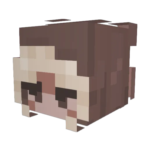 NapperApper Minecraft avatar head, 3D render