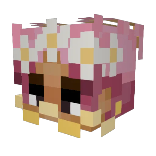 Nappingnoodle Minecraft avatar head, 3D render